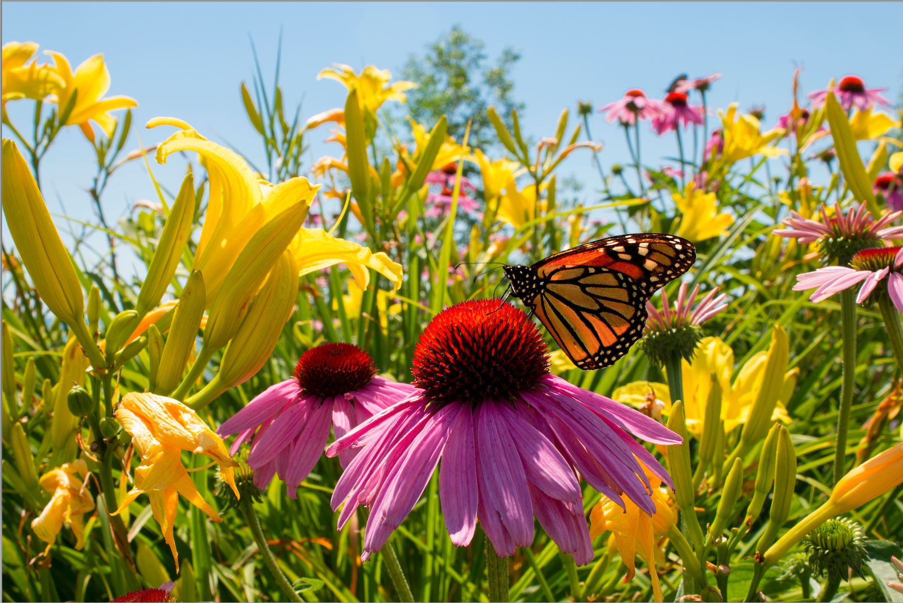 April Gardening To-Do List: Prepping the Garden for Spring