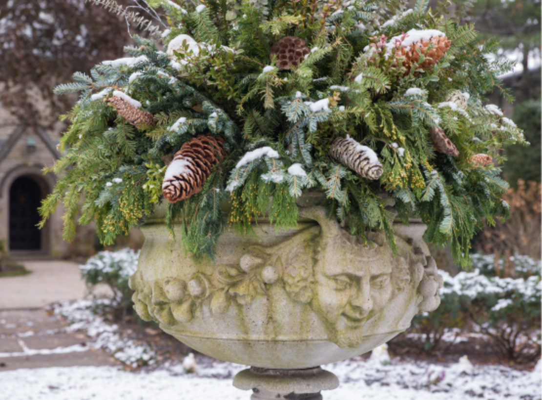 Chaletnurserys Signature Winter Container Trends