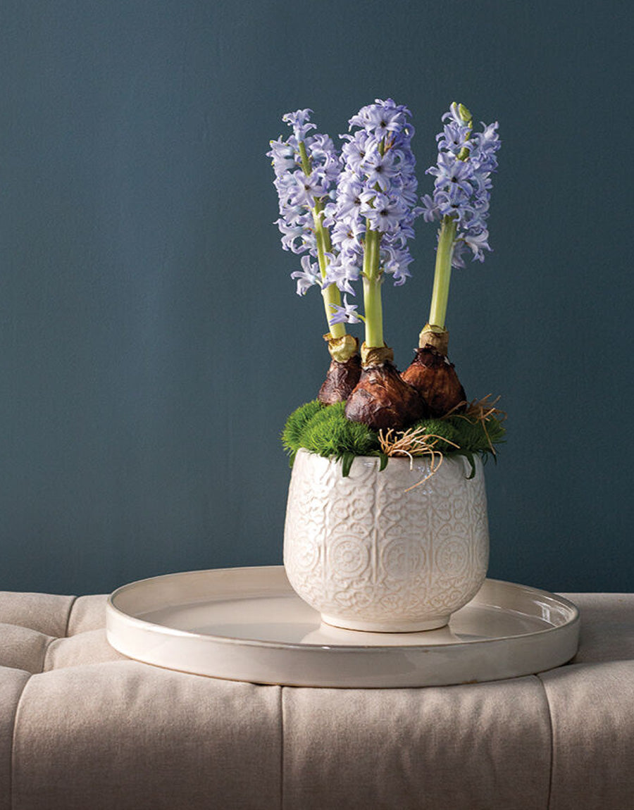 Indoor Planters