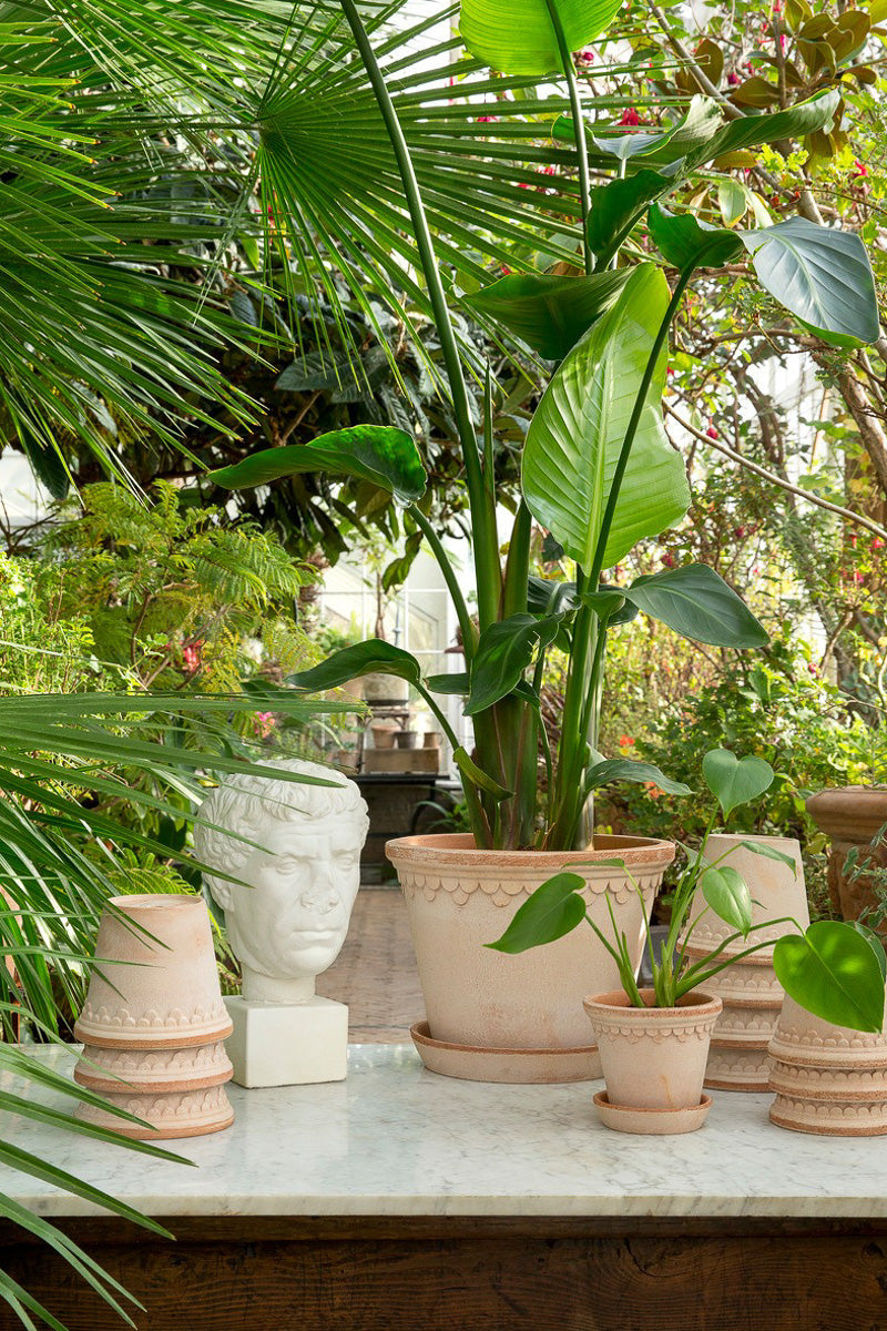 Planters
