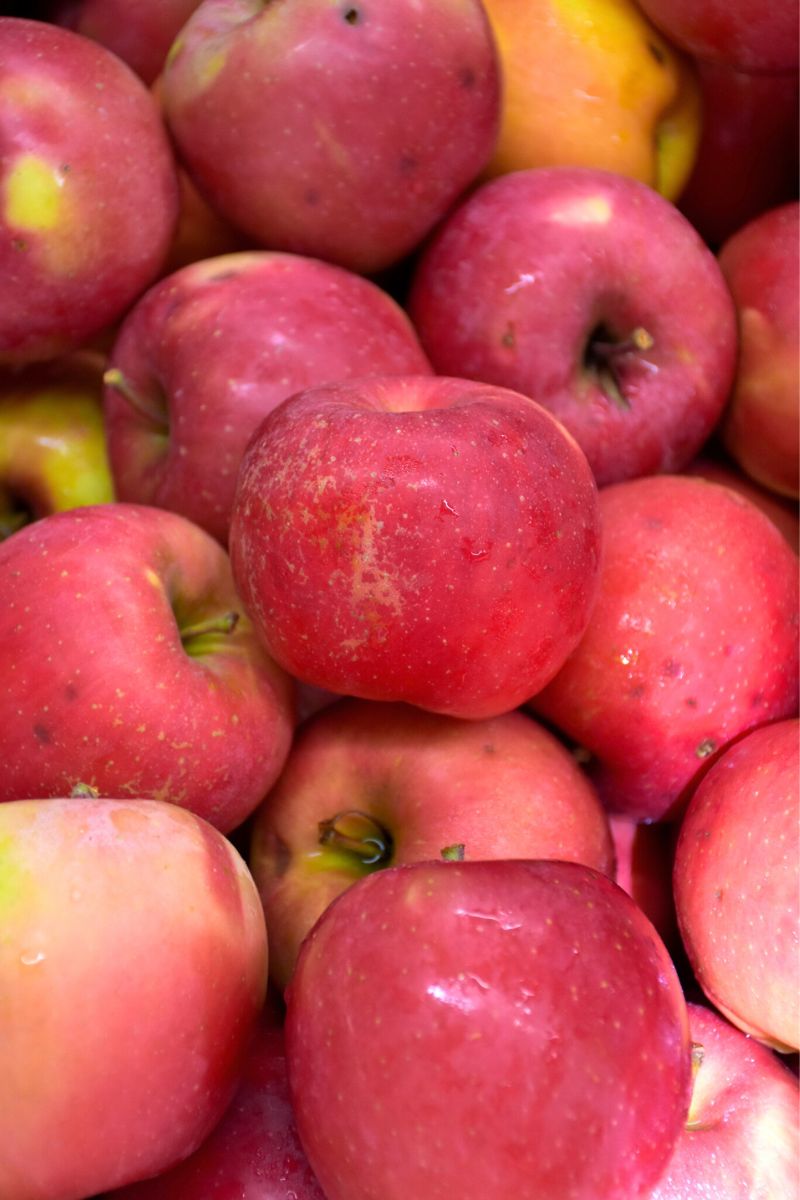 Fruiting Trees & Shrubs