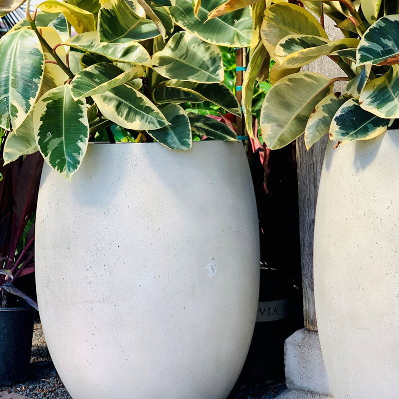 Outdoor Planters