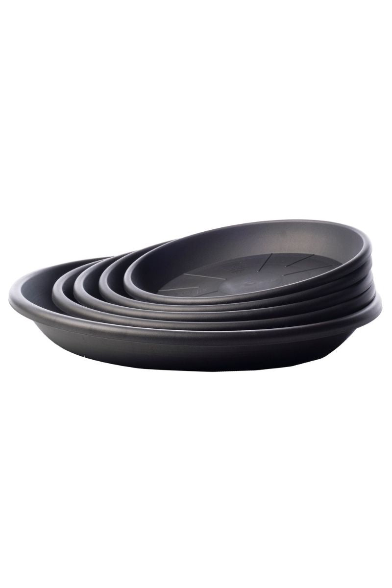 Medea Saucer 4.75" Anthracite