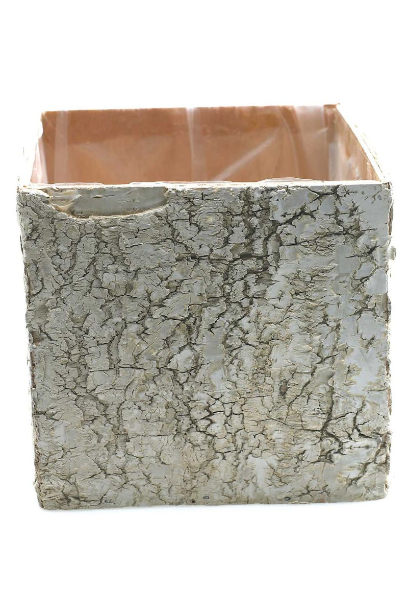 Birch Square Pot 5.5"x5.5"