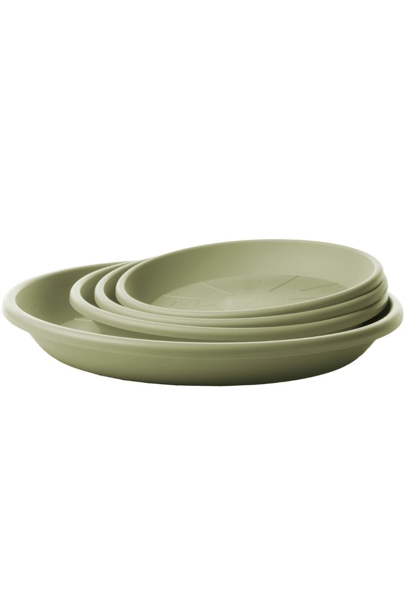 Medea Saucer 9.5" Rosemary