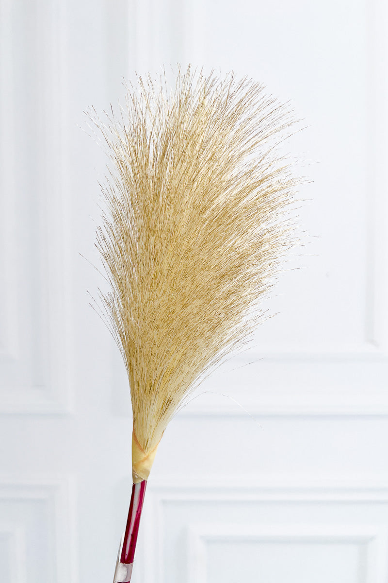 Faux Pampas Grass Spray19" Beige