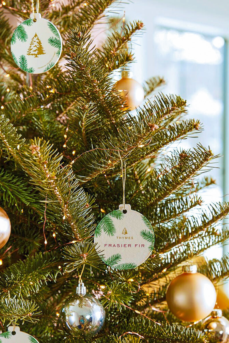 Thymes Frasier Fir Pine Needle Decorative Sachet