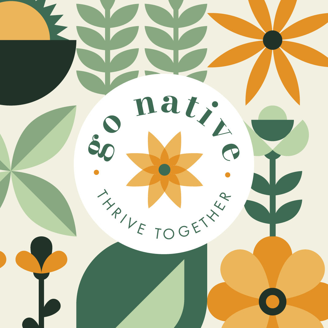 Native Outdoor Plants
