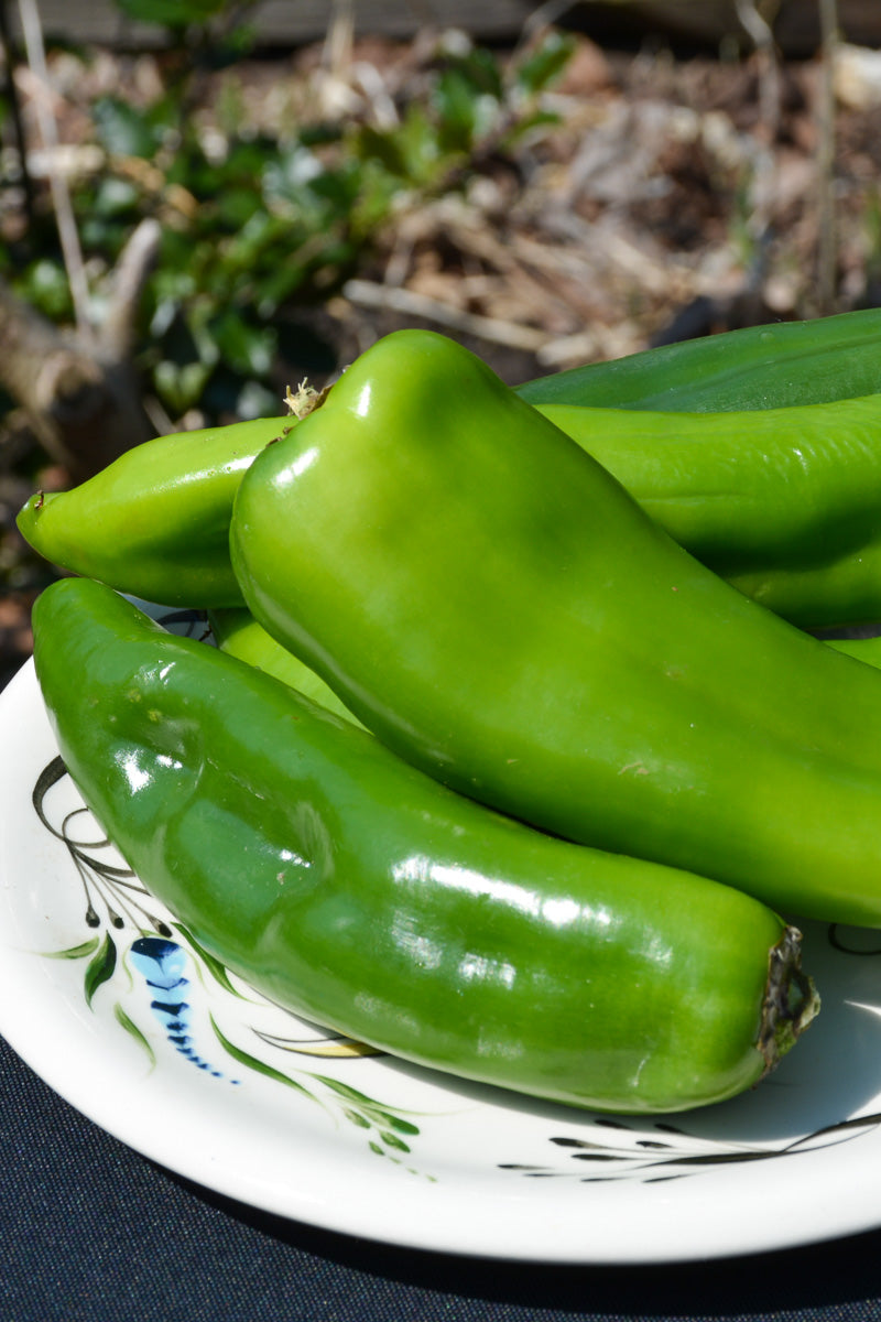 Vegetable, Pepper Anaheim