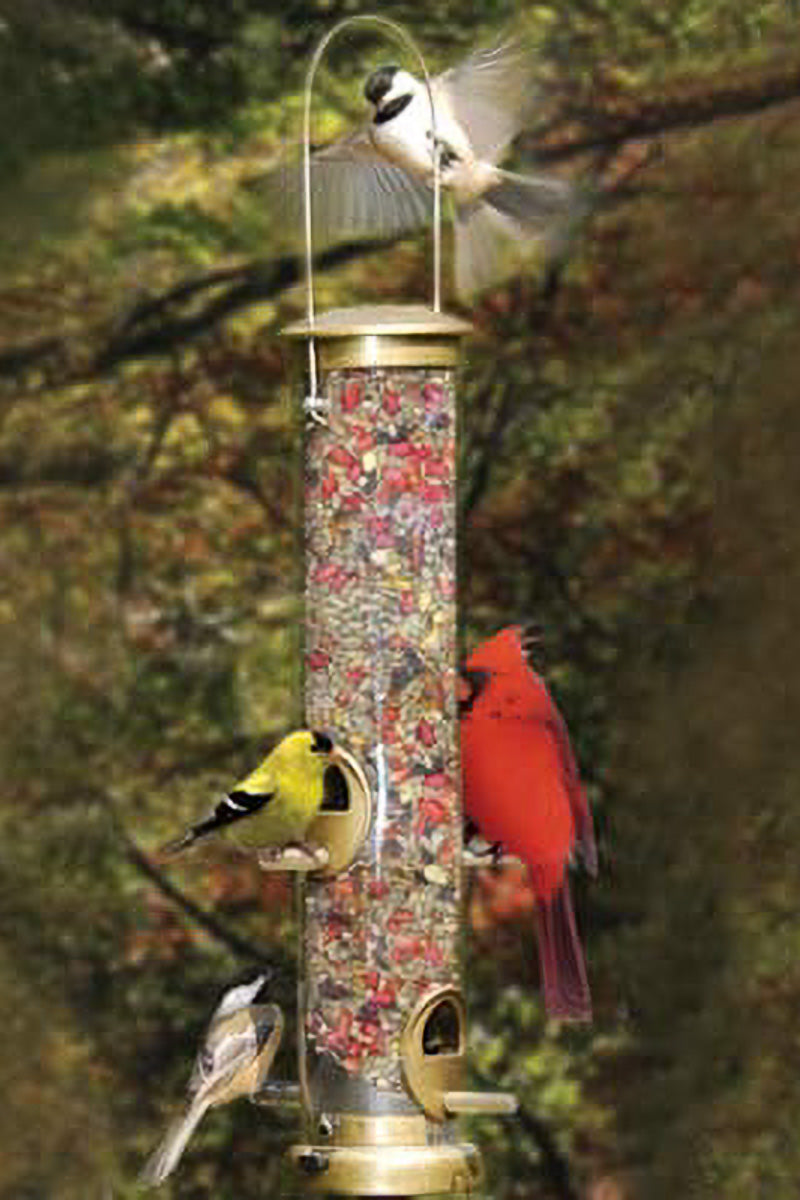 Cole's Terrific Tube 4 Port Bird Feeder 19"
