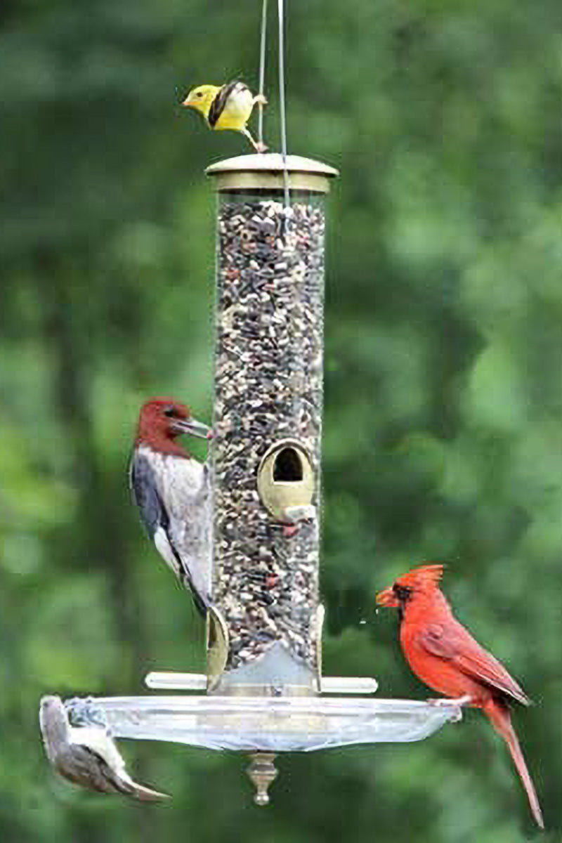 Cole's Terrific Tube 4 Port Bird Feeder 19"