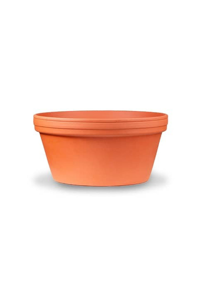 Terra Cotta Bonsai/Cactus Pot 7"
