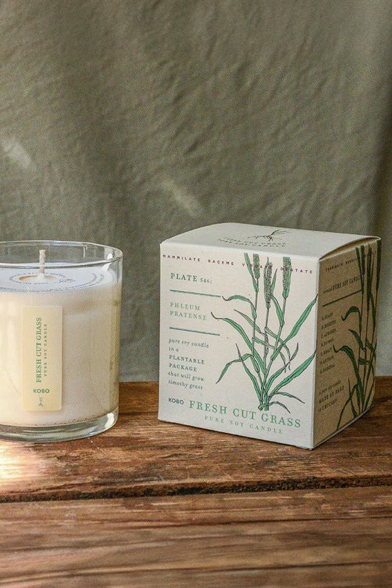 KOBO Fresh Cut Grass Plant the Box Candle 9 oz