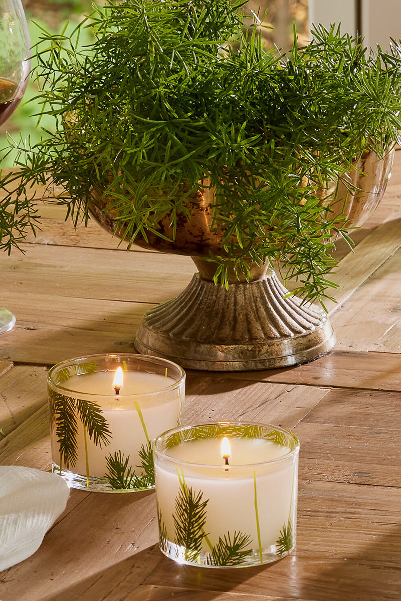 Thymes Frasier Fir Pine Needle Poured Candle Set