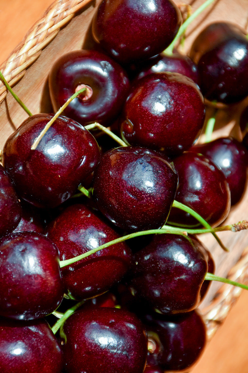 Fruit, Cherry Black Tartarian Sweet