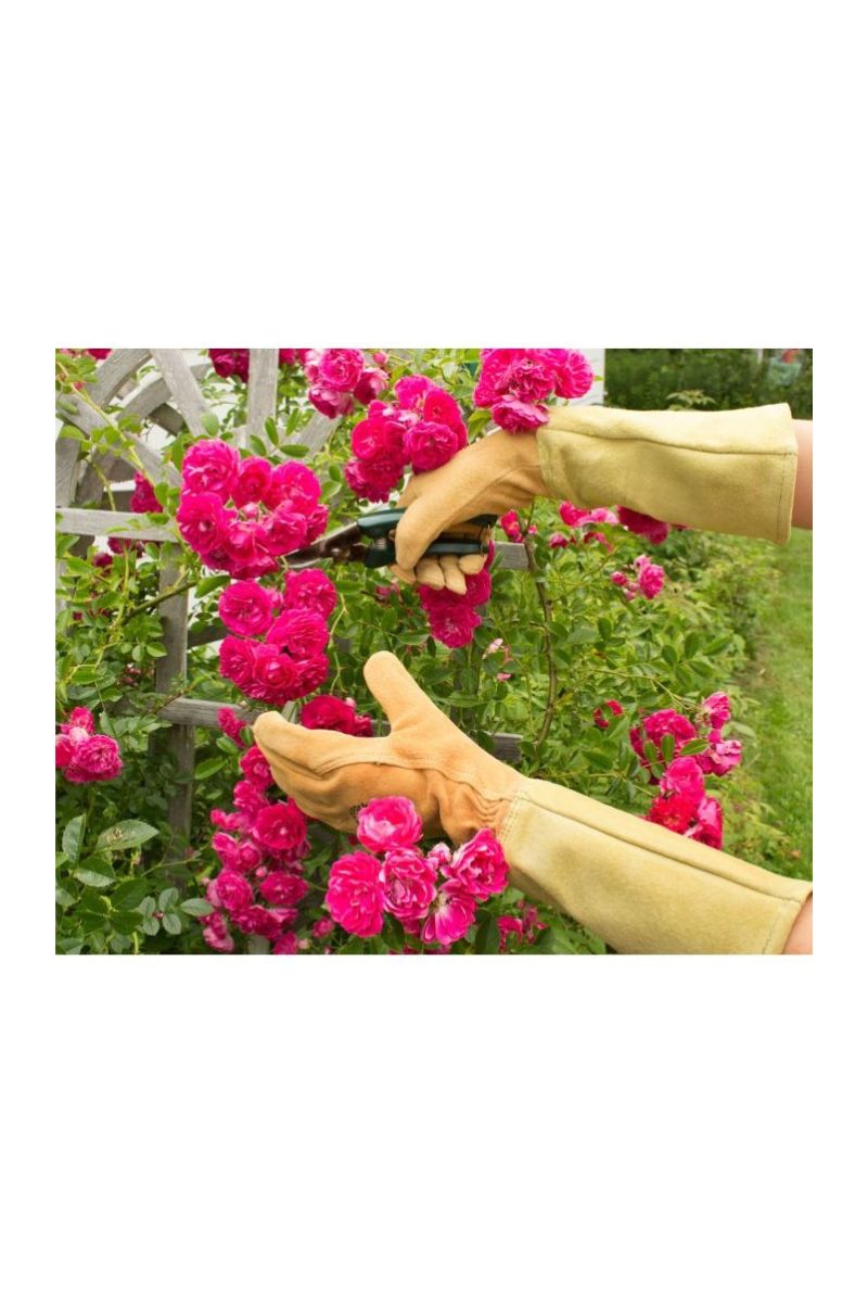 Womanswork All Leather Gauntlet Gloves Large