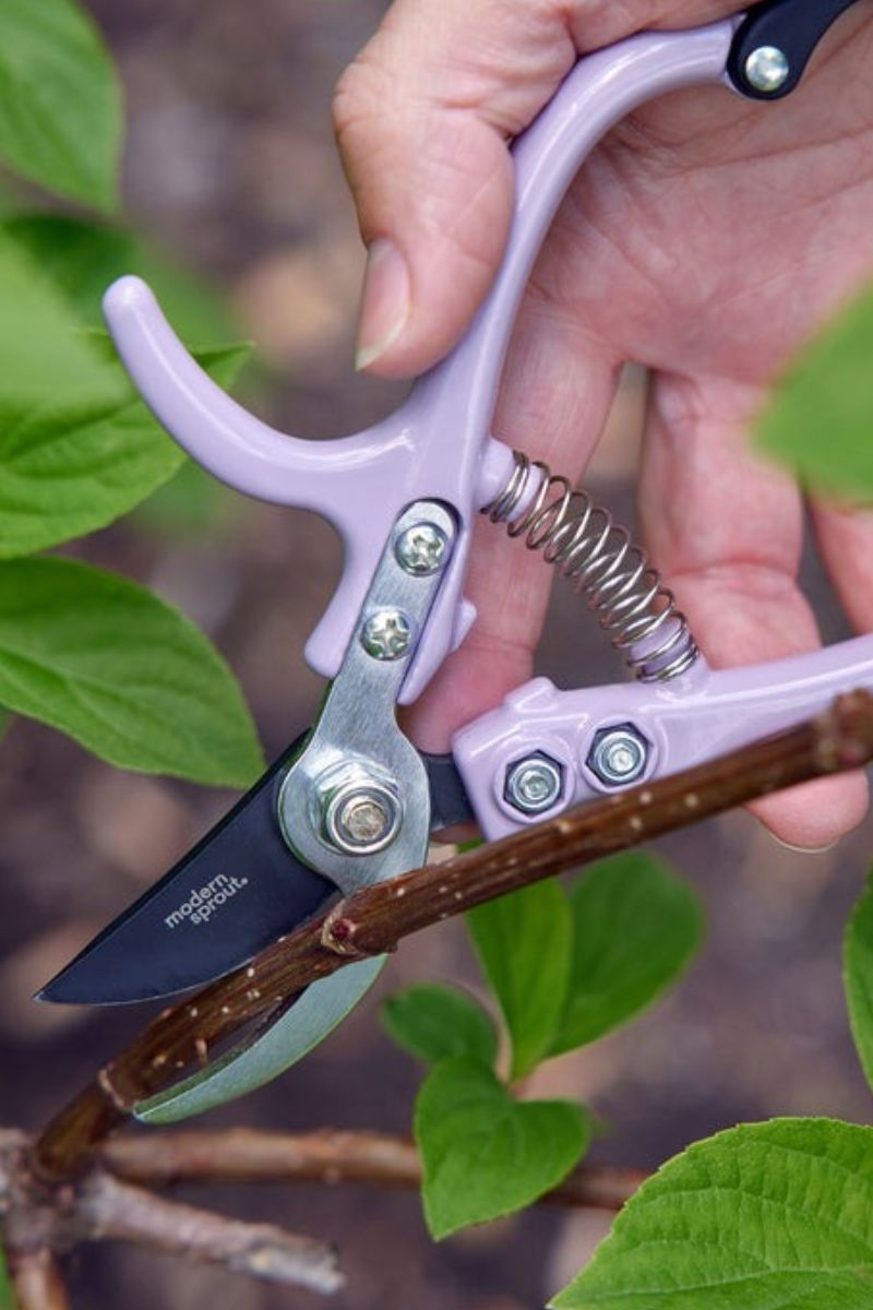 Modern Sprout Pruners Lavender