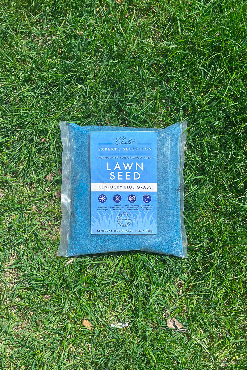 Chaletnurserys Lawn Seed Kentucky Blue Grass 1 lb