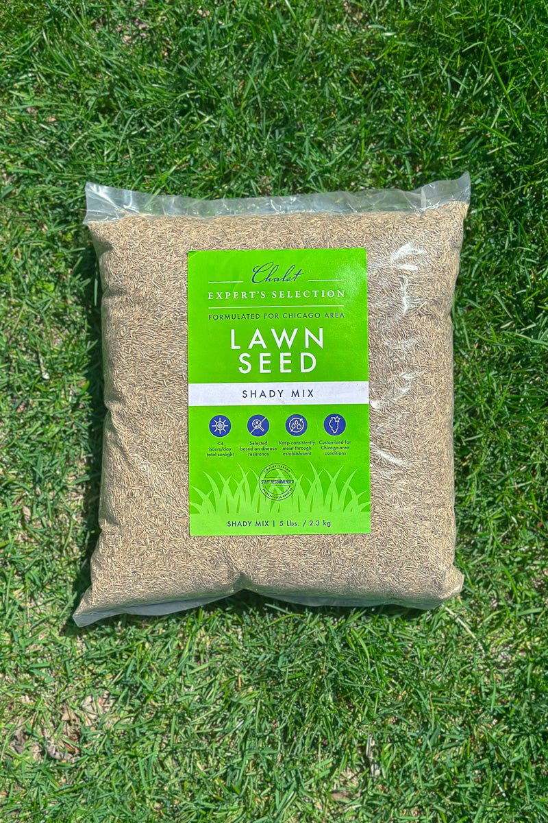 Chaletnurserys Lawn Seed Shady Mix 5 lb