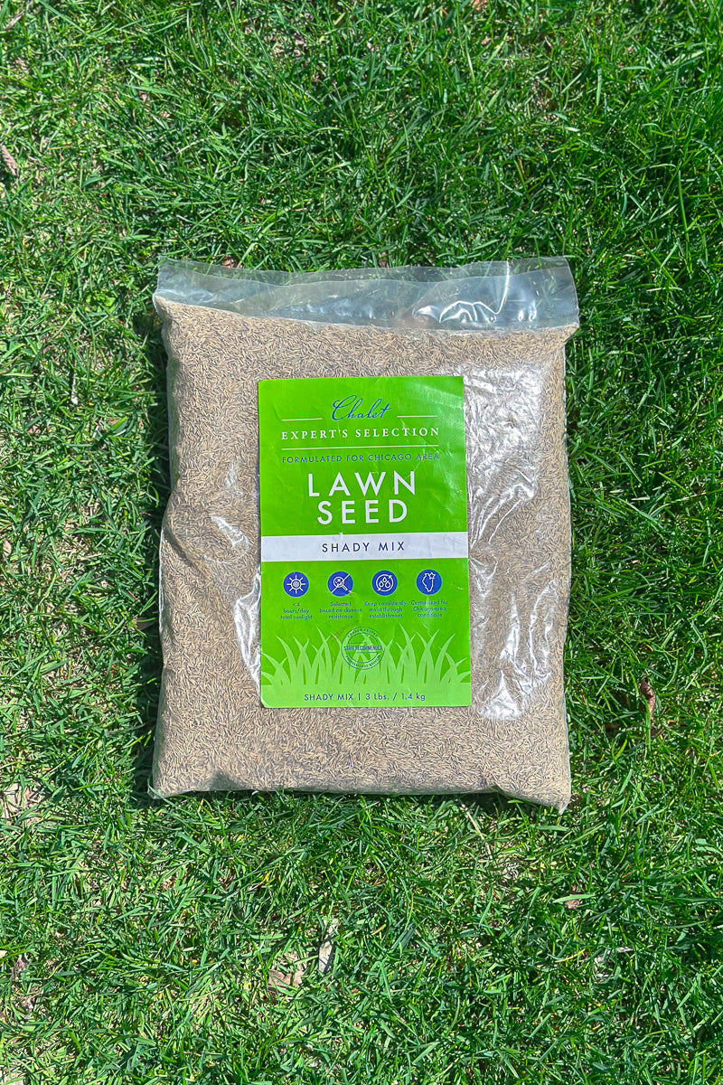 Chaletnurserys Lawn Seed Shady Mix 3 lb