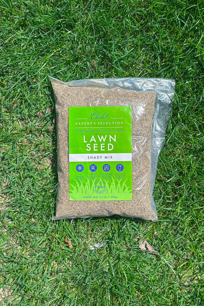 Chaletnurserys Lawn Seed Shady Mix 1 lb