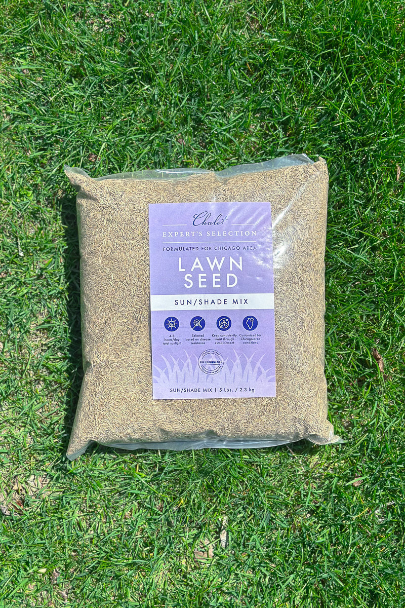 Chaletnurserys Lawn Seed Sun/Shade Mix 5 lb