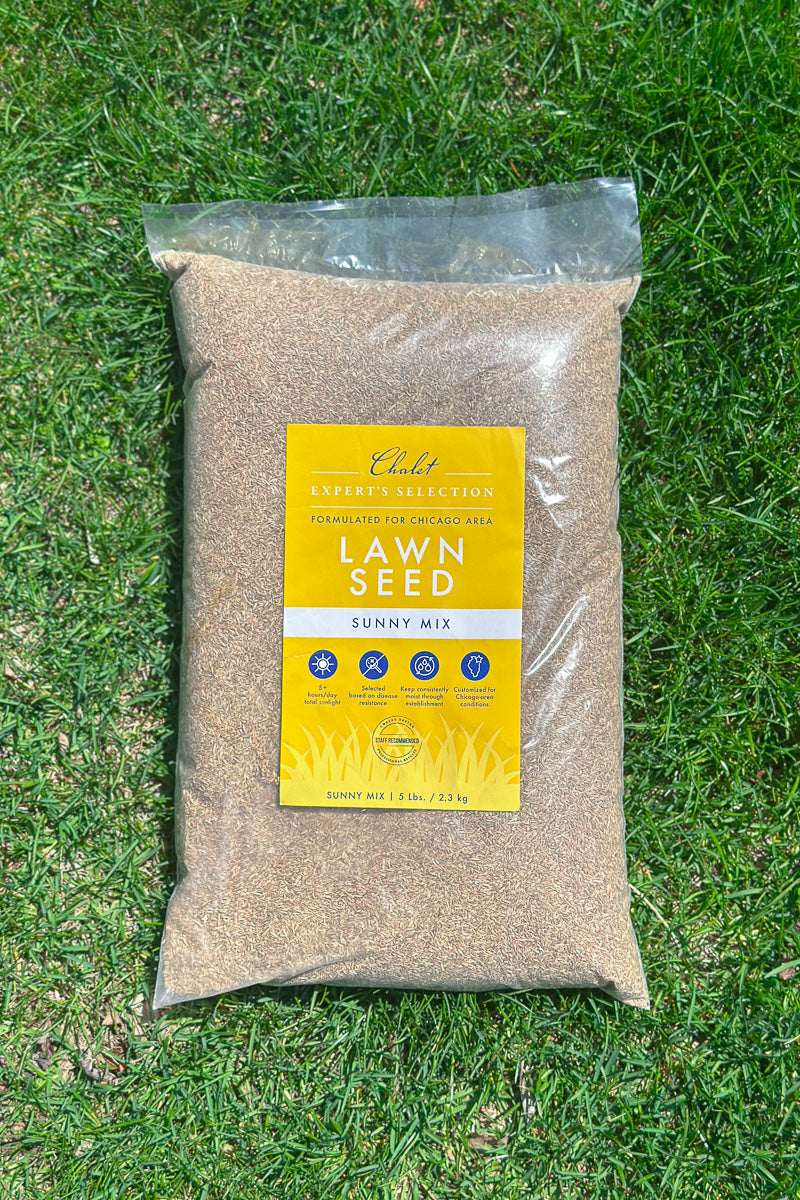 Chaletnurserys Lawn Seed Sunny Mix 5 lb