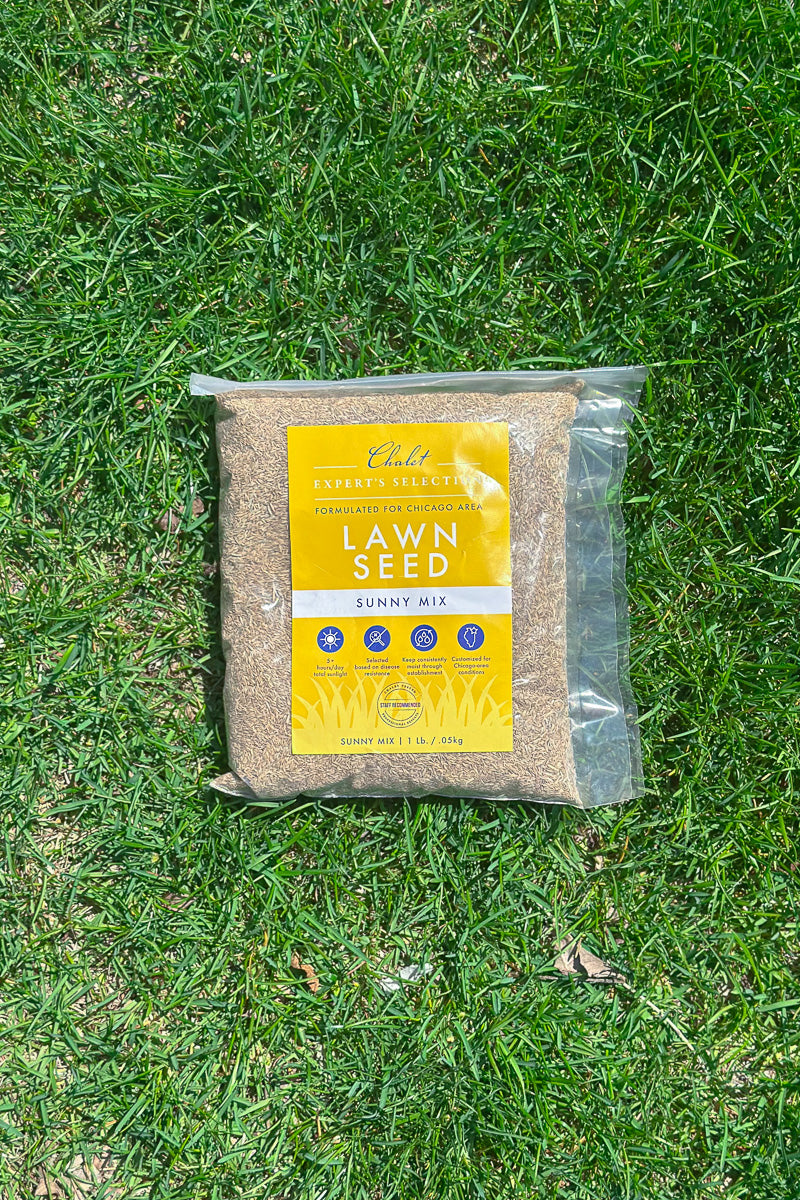 Chaletnurserys Lawn Seed Sunny Mix 1 lb