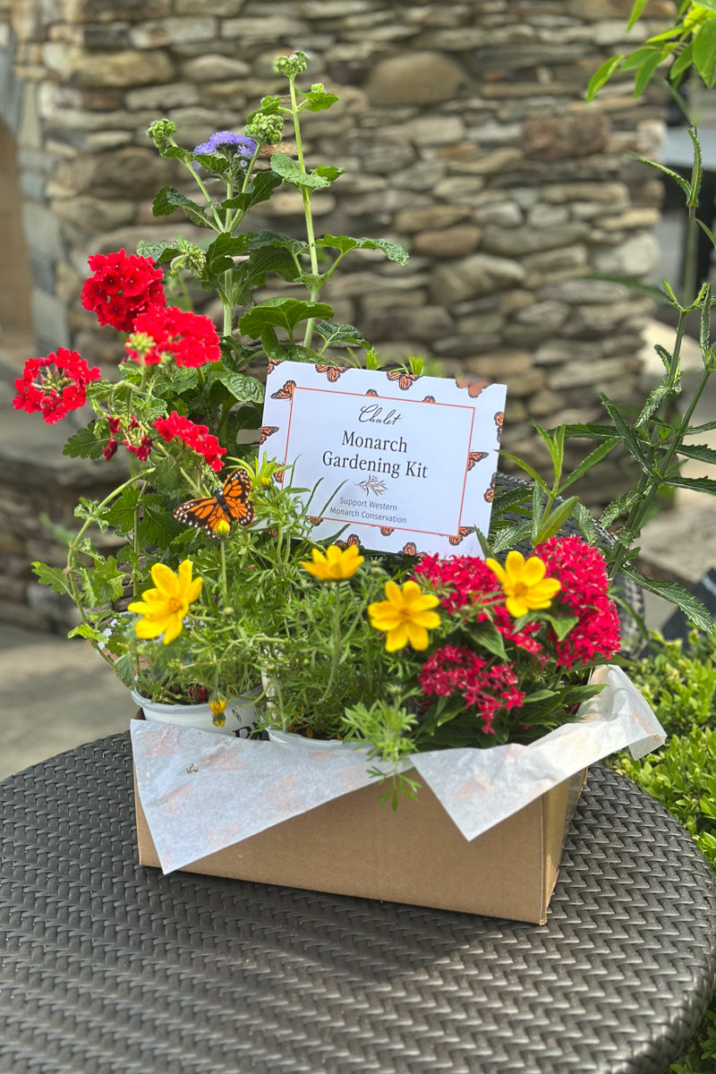 Monarch Gardening Starter Kit