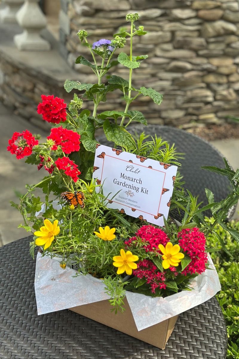 Monarch Gardening Starter Kit