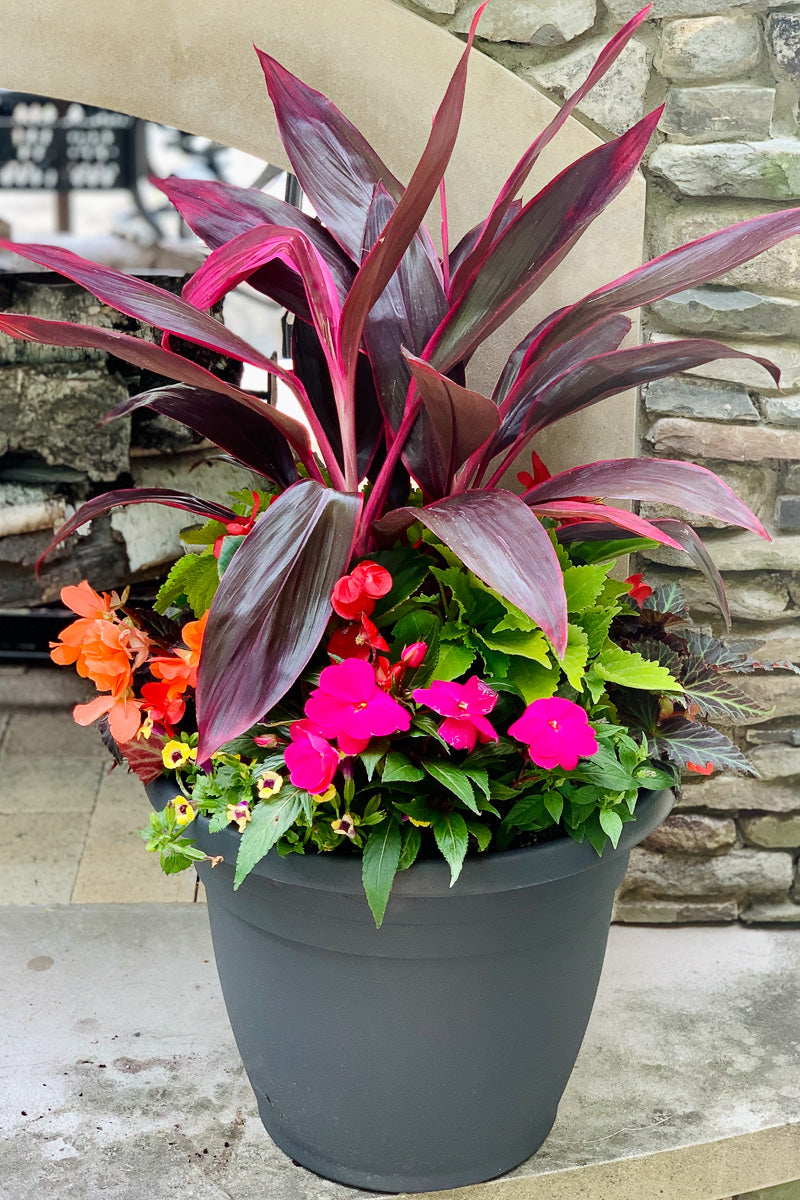 Chaletnurserys Signature | Outdoor | Summer Boho Shade