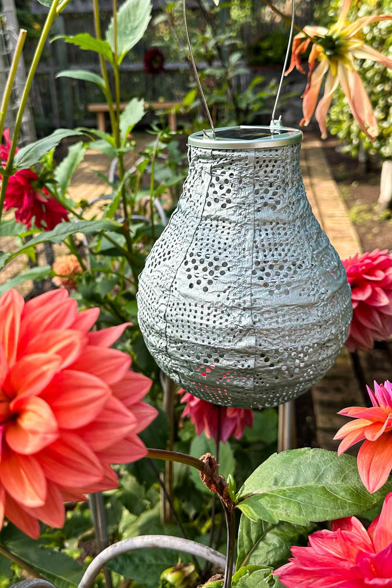 Soji Stella Bulb Wave Solar Lantern 8" Sage