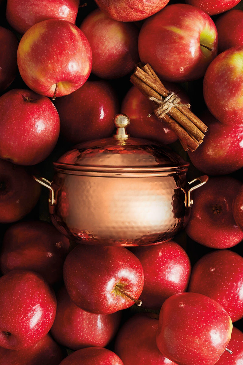 Thymes Simmered Cider Copper Pot 3-wick Poured Candle