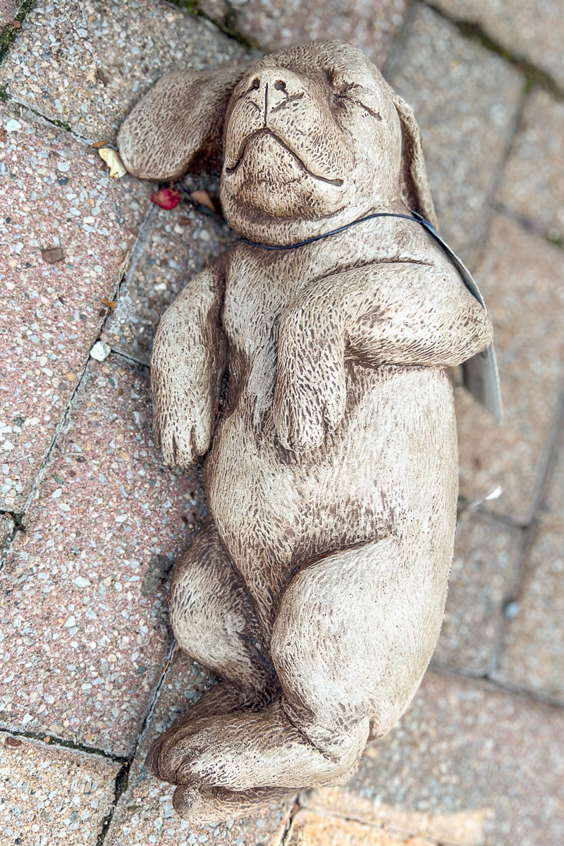 Campania Belly Rubs Statue 16" BR