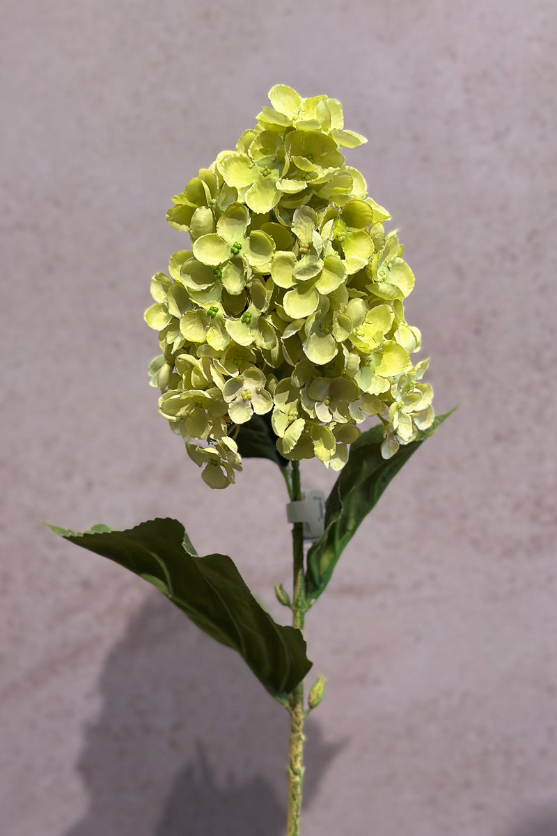 Faux Cone Hydrangea Spray 28" Lime