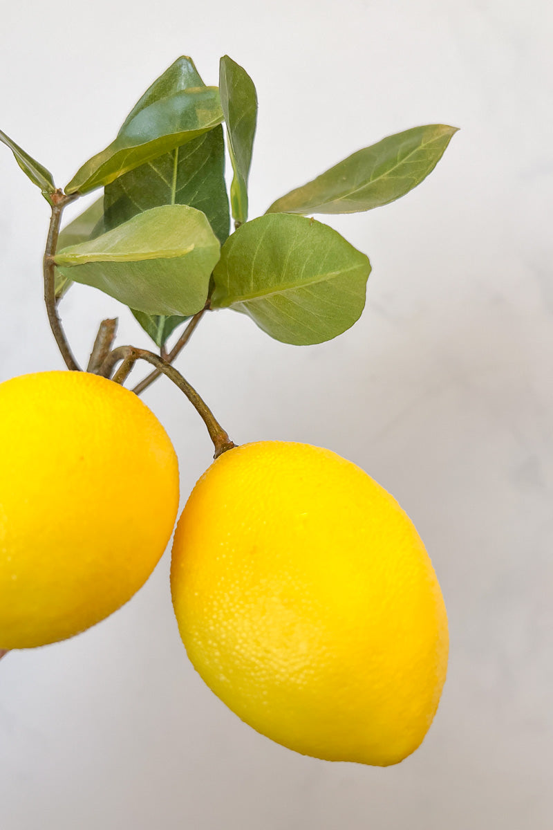 Silk, Pick Lemon 8.5" Yellow