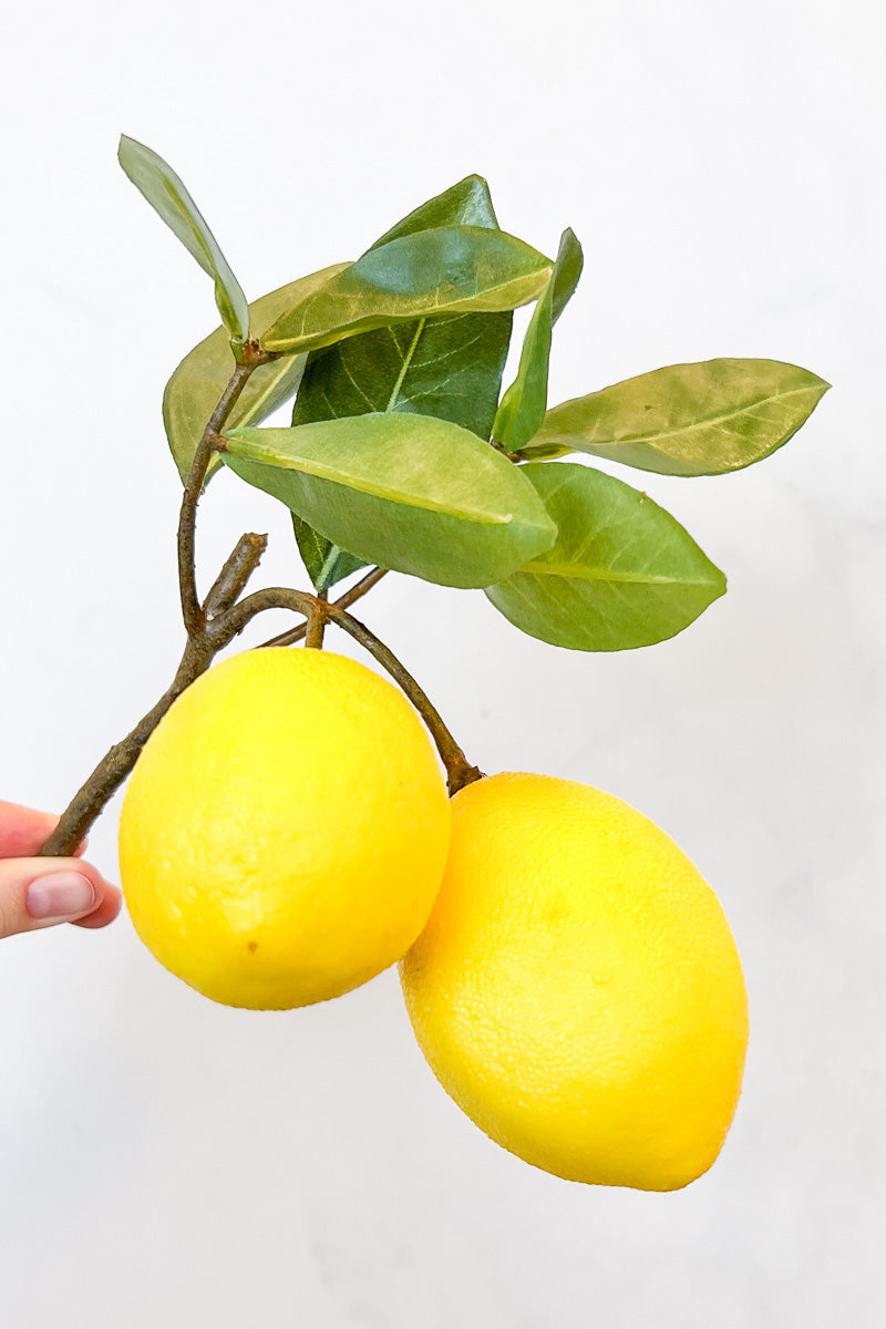 Silk, Pick Lemon 8.5" Yellow