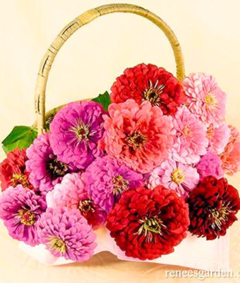 Renee's Garden Bouquet Zinnias Berry Basket Seeds