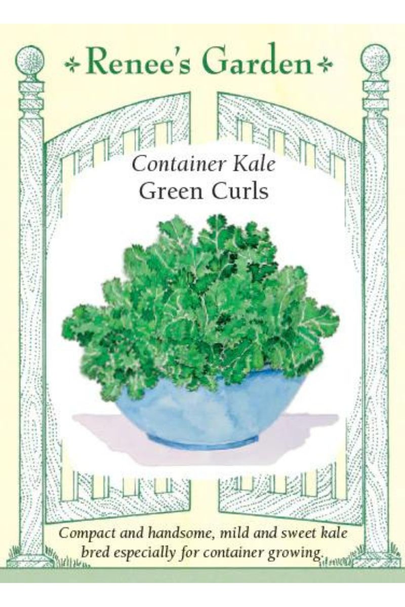 Renee's Garden Container Kale Green Curles Seeds