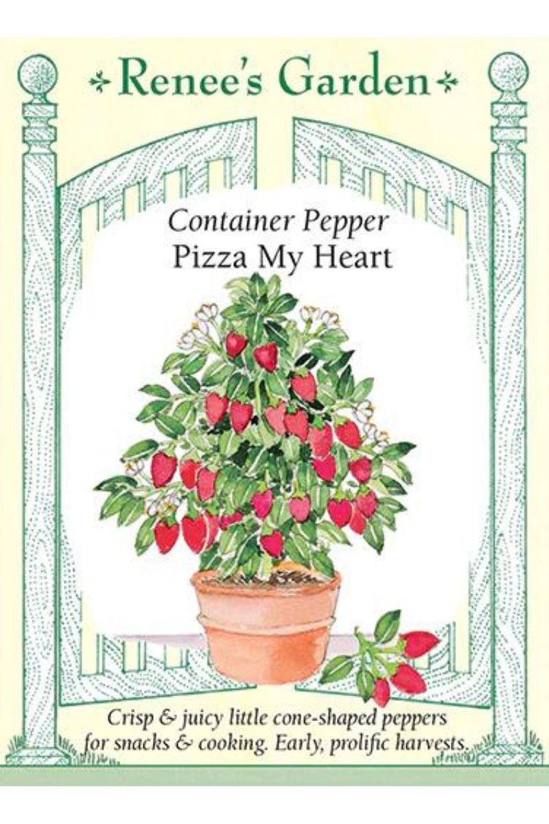 Renee's Garden Container Pepper Pizza My Heart Seeds
