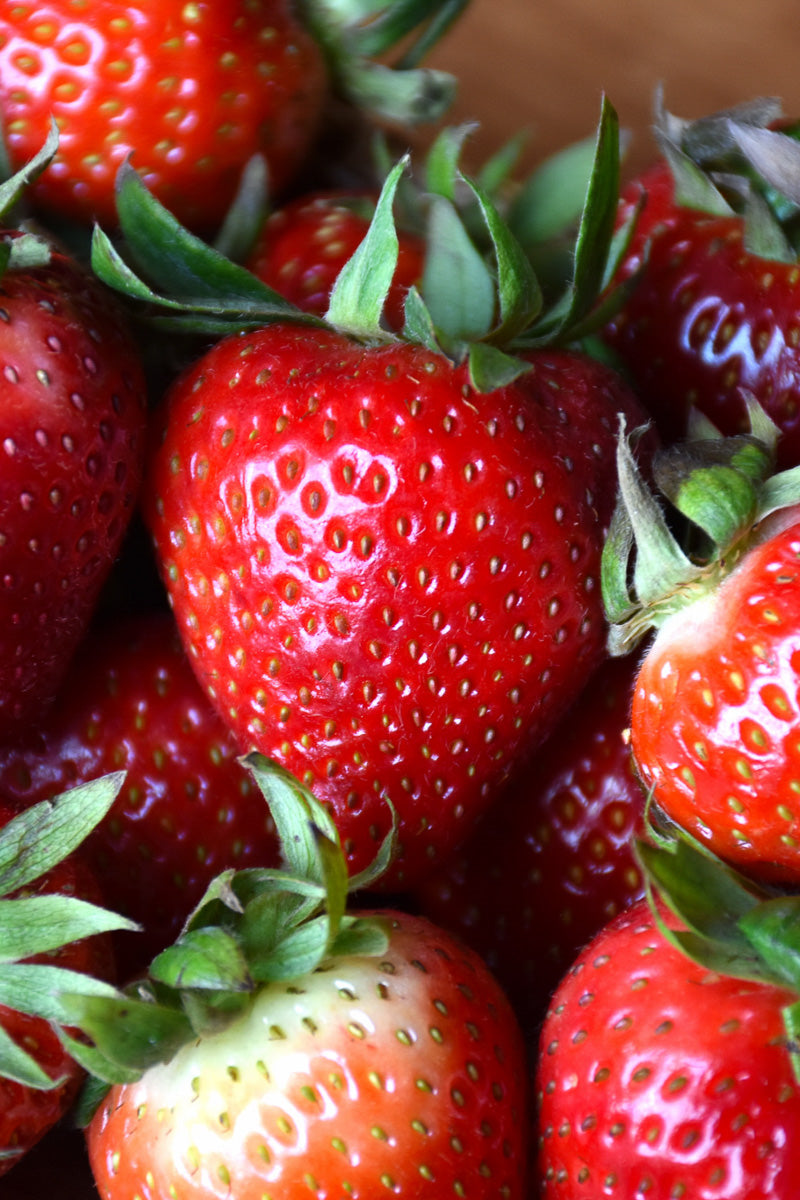 Fruit, Strawberry Ozark Beauty