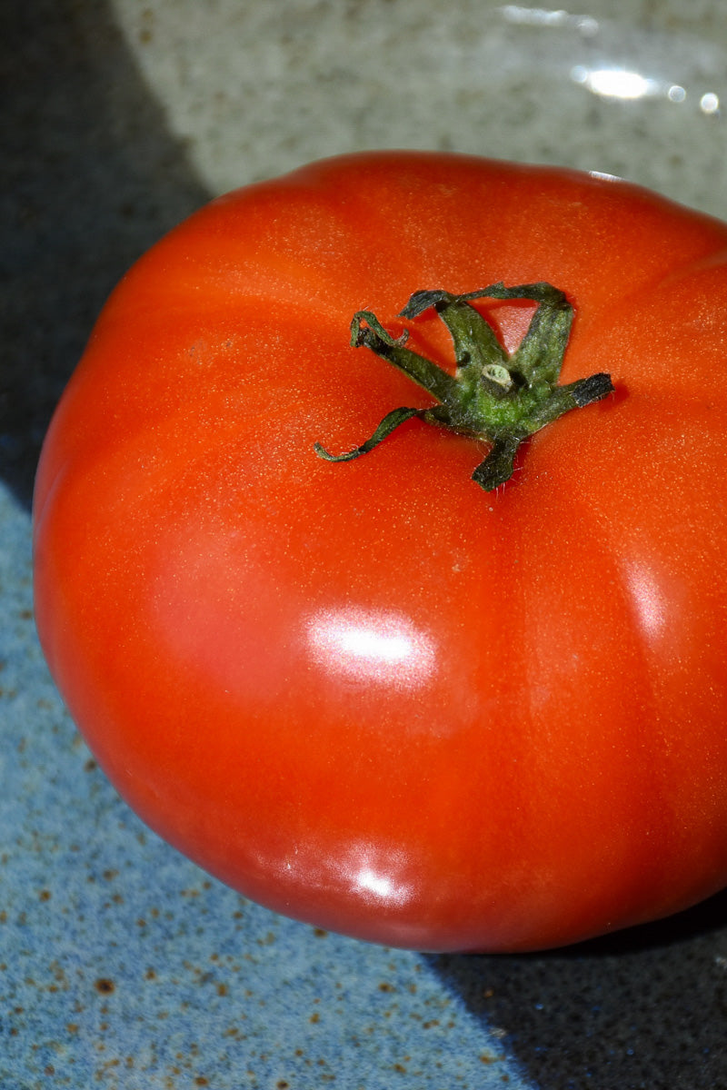 Vegetable, Tomato Super Fanastic