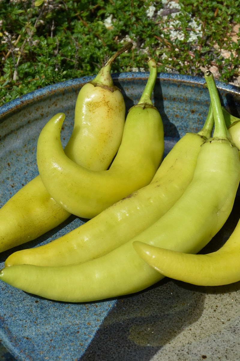 Vegetable, Pepper Sweet Banana