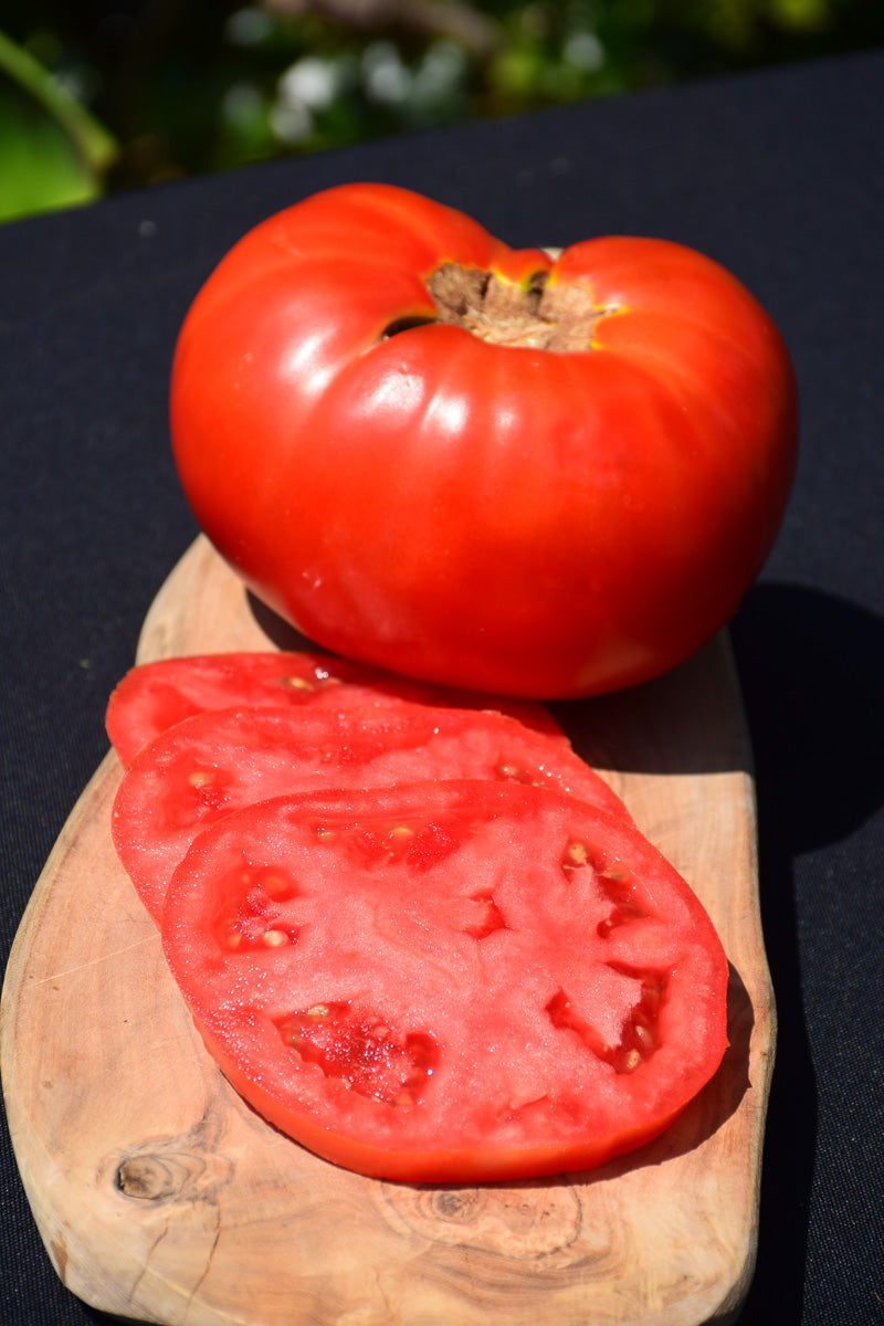 Vegetable,Tomato Brandywine Red
