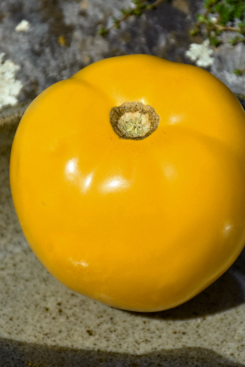 Vegetable,Tomato Lemon Boy Pl