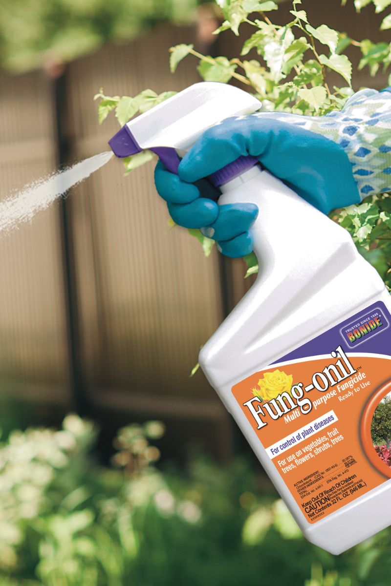 Bonide Fungonil 32oz Ready to Use