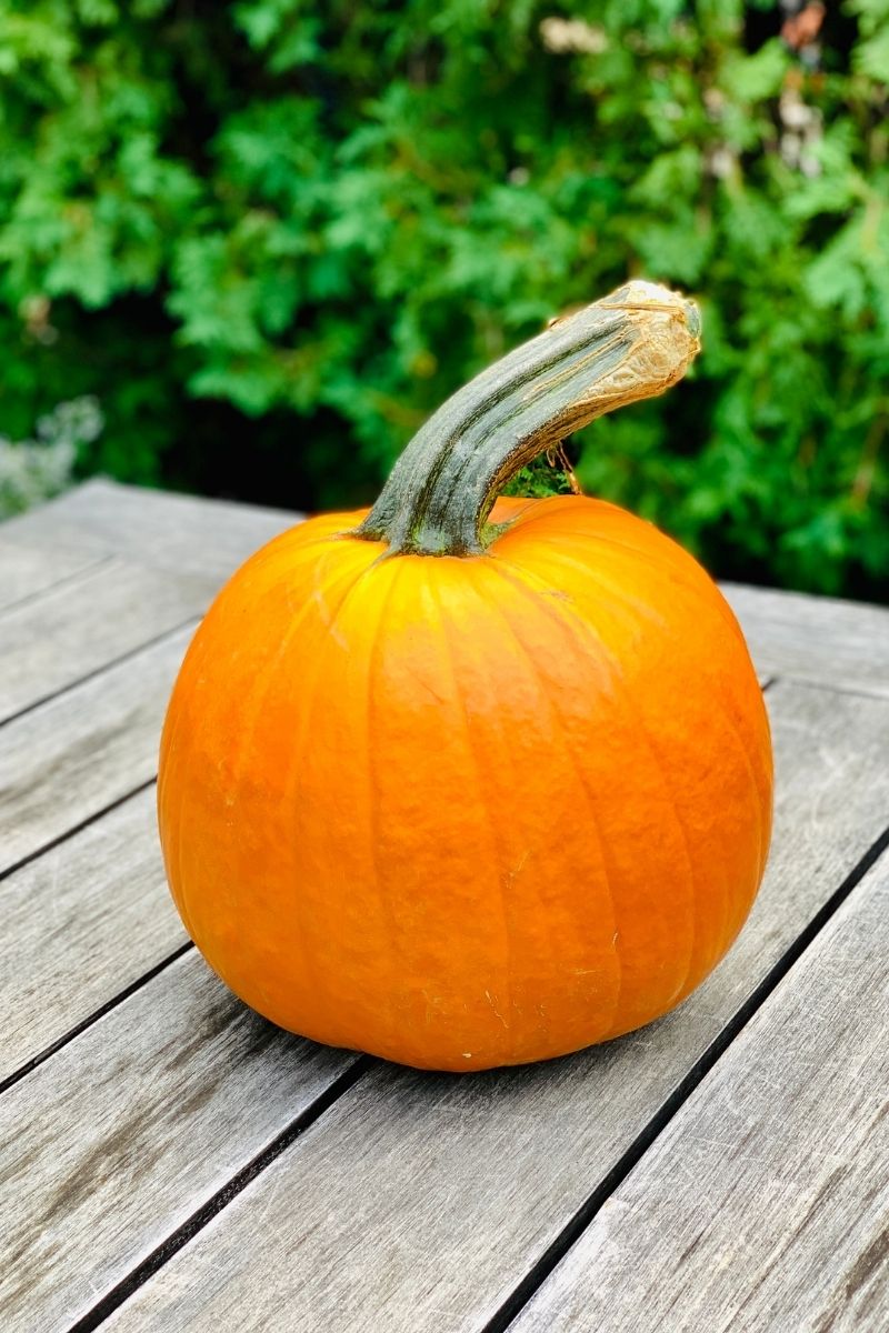 Pumpkin, Carving