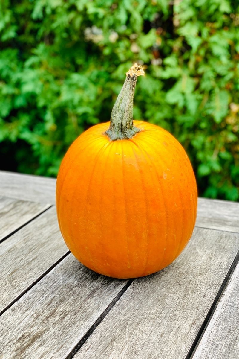 Pumpkin, Carving