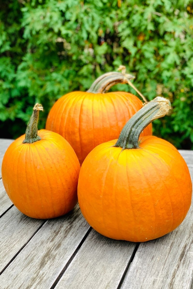 Pumpkin, Carving
