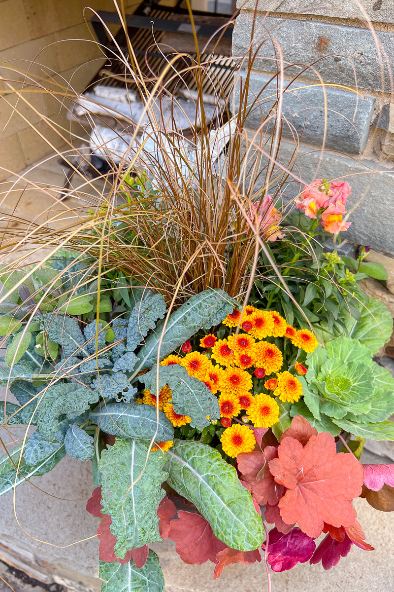 Chaletnurserys Signature | Fall | Farmhouse